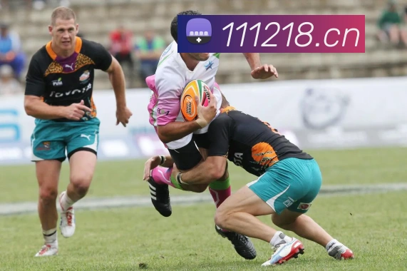 华体app下载官网服务体系